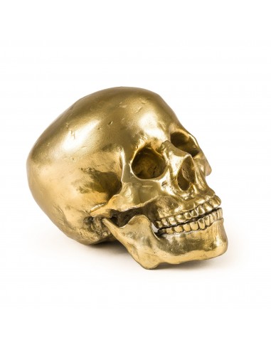 SELETTI Diesel Wunderkammer "Diesel-Human Skull" Crâne Aluminium