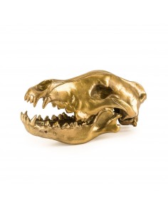 SELETTI Diesel Wunderkammer "Diesel-Wolf Skull" Crâne de loup Aluminium