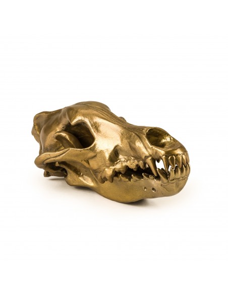 SELETTI Diesel Wunderkammer "Diesel-Wolf Skull" Crâne de loup Aluminium