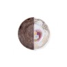 SELETTI Hybrid Assiete à Dessert - Nok