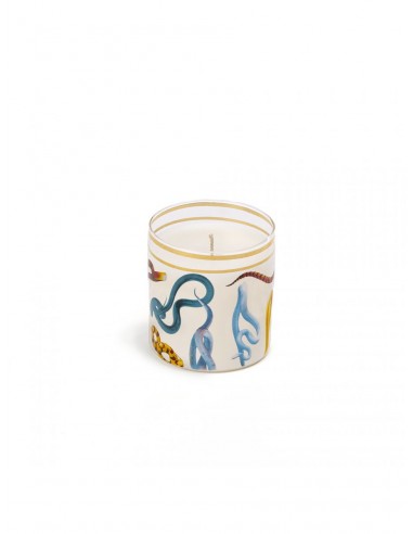 SELETTI Toiletpaper Glass Candle - Snakes