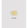 SLAMP Clizia Wall Lamp